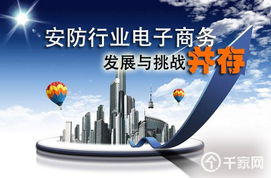 安防行業電子商務發展與挑戰并存 計算機技術的推動與阻礙