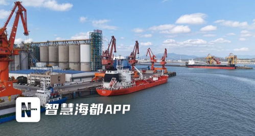 福建糧油新突破 首批6000噸大豆油成功出口，倉儲服務(wù)護(hù)航國際市場首航